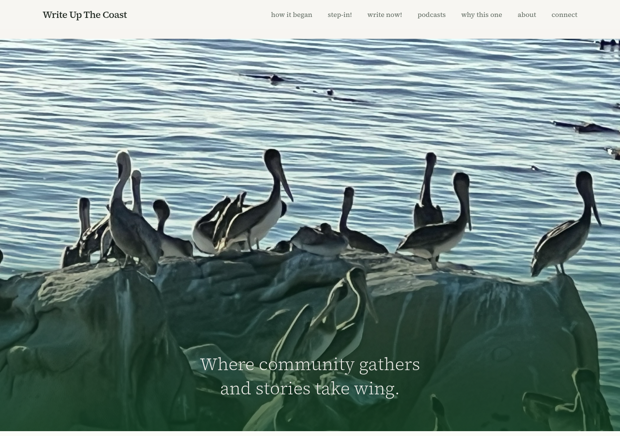 The Write Up the Coast homepage — pelicans gathered on a rock above the water